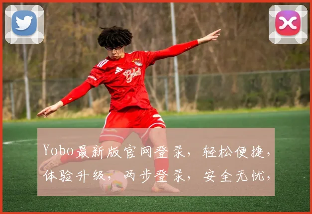 Yobo最新版官网登录，轻松便捷，体验升级，两步登录，安全无忧，快来体验